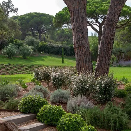 Les Pins De L'escalet * Ramatuelle